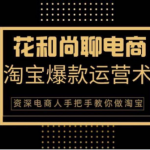 花和尚·天猫淘宝爆款运营实操技术，手把手教你月销万件的爆款打造技巧