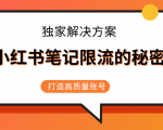 小红书笔记限流的秘密，被限流的笔记独家解决方案，打造高质量账号（共3节视频）