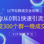 12节社群成交全攻略：从0到1快速引流变现，3天裂变300个群一晚成交103万