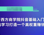 抖音基础入门班：小白0基础学习打造一个高权重赚钱的抖音号