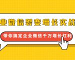 企业微信裂变增长实战课：带你搞定企业微信千万增长红利，新流量-新玩法