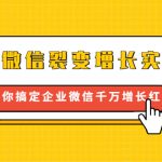 企业微信裂变增长实战课：带你搞定企业微信千万增长红利，新流量-新玩法