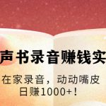 有声书录音赚钱实战：在家录音，动动嘴皮，日赚1000+！