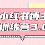 红商学院·小红书博主训练营3.0，实战操作轻松月入过万