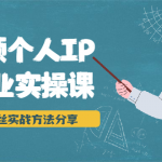 短视频个人IP商业实操课，百万粉丝实战方法分享，小白也能实现流量变现