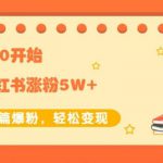 生财小红书涨粉变现：新账号从0开始3个月小红书涨粉5W+实现单篇爆粉