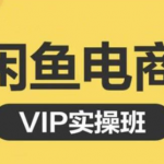 鱼客·闲鱼电商零基础入门到进阶VIP实战课程，帮助你掌握闲鱼电商所需的各项技能