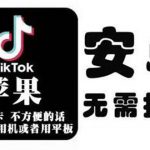 tiktok海外版短视频操作教程(苹果/安卓)，帮助国内也能刷海外版抖音