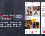 麦子互娱短视频带货·0基础做好物分享账号，无需出镜无需货源无需拍摄