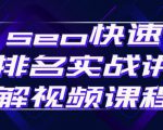 seo快速排名实战讲解视频课程，揭秘seo快排原理