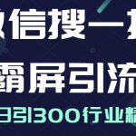 微信搜一搜霸屏引流课，打造被动精准引流系统，轻松日引300行业精准粉