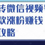 玩转微信视频号爆款涨粉赚钱全攻略，让你快速抓住流量风口，收获红利财富