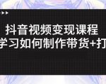 抖音短视频变现课程：带你学习如何制作带货+打造IP【41节】