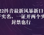 2022抖音最新风暴新口子：多开实名，一整开两个实名，封禁也行