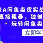 老A闲鱼卖货实战课，简单直接粗暴，独创方法带你玩转闲鱼卖货！