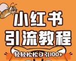 小红书运营引流全系列课程，每天引流100精准粉