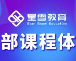 星雪教育淘系高级班，更全的运营提升方案，零基础由浅入深，店铺最新玩法