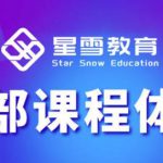 星雪教育淘系高级班，更全的运营提升方案，零基础由浅入深，店铺最新玩法