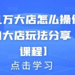 月入几万大店怎么操作？虚拟项目大店玩法分享【视频课程】