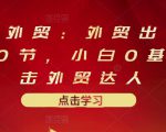 业仔外贸：外贸出口详解30节，小白0基础进击外贸达人 价值666元