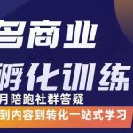 杨名商业IP孵化训练营，从商业到内容到转化一站式学 价值5980元