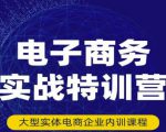 民赛电气内部出品：电子商务实战特训营，全方位带你入门电商，308种方式玩转电商