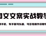 抖音图文文案实战教学，一部手机，有手就可以做，可多号操作获取收益