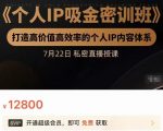 个人IP吸金密训班，打造高价值高效率的个人IP内容体系（价值12800元）