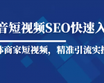 抖音短视频Seo搜索排名优化新手快速入门教程，实体商家短视频，精准引流实操课