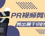 PR视频剪辑课：各种剪辑与视频特效玩法，剪出属于你的大片