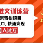 小说推文训练营，万年常青树项目，抓住风口，快速变现月入过万