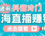 最新抖音冷门简单的蓝海直播赚钱玩法，流量大知道的人少，可做到全无人直播