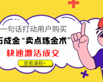 点石成金“卖点炼金术”一句话打动用户购买，快速激活成交！