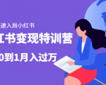 小红书变现特训营：带你快速入局小红书，从0到1月入过万