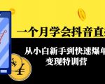 一个月学会抖音直播带货：从小白新手到快速爆单变现特训营(63节课)