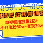 21天视频号变现特训营：单视频播放量2亿+3个月涨粉30w+变现20w+（第14期）