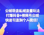 公域导流私域流量玩法：打爆抖音+视频号公域，快速引流到个人微信！