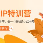 小红书IP特训营：从搭建-制作-爆款脚本等等，做一个赚钱的小红书号