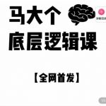 马大个·底层逻辑课，51节底层逻辑智慧课-价值1980元