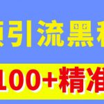 视频引流黑科技玩法，不花钱推广，视频播放量达到100万+，每日100+精准客源