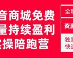 抖音商城搜索持续盈利陪跑成长营，抖音商城搜索从0-1、从1到10的全面解决方案