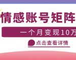 云天情感账号矩阵项目，简单操作，月入10万+可放大（教程+素材）