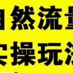 拼多多自然流量天花板，拼多多自然流的实操玩法，自然流量是怎么来的，如何开车带来自然流等知识