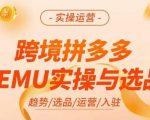 跨境拼多多TEMU实操与选品，​掌握平台运营方法技巧，选品避坑12条标准，爆款的底层思路等