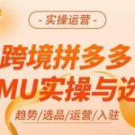 跨境拼多多TEMU实操与选品，​掌握平台运营方法技巧，选品避坑12条标准，爆款的底层思路等