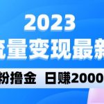 2023美女流量变现最新玩法，0粉撸金，日赚2000+，实测日引流300+