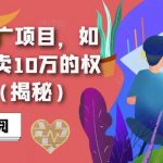 搜索霸屏推广项目，如何做一个能卖10万的权重6网站（揭秘）