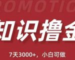 抖音知识撸金项目：简单粗暴日入1000+执行力强当天见收益(教程+资料)