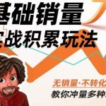 内功丨淘系基础销量实战积累玩法，无销量·不转化，教你冲量多种玩法