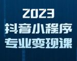 2023年抖音小程序变现保姆级教程，0粉丝新号，无需实名，3天起号，第1条视频就有收入